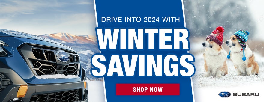 Winter Savings